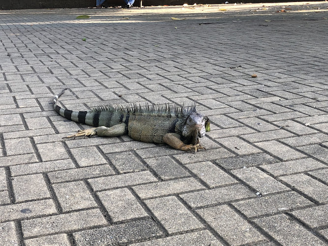 Monteria Moderna Park