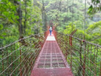 Monteverde Cloud Forest Biological Preserve Travel Forum Reviews
