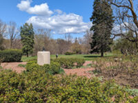 Montrose Park Travel Forum Reviews