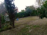 Moon Light kirkuk park Travel Forum Reviews