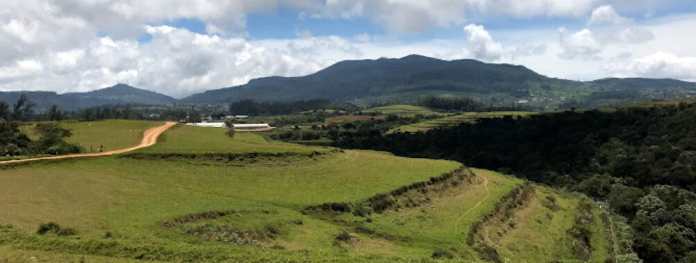 Moon Plains Travel Forum Reviews
