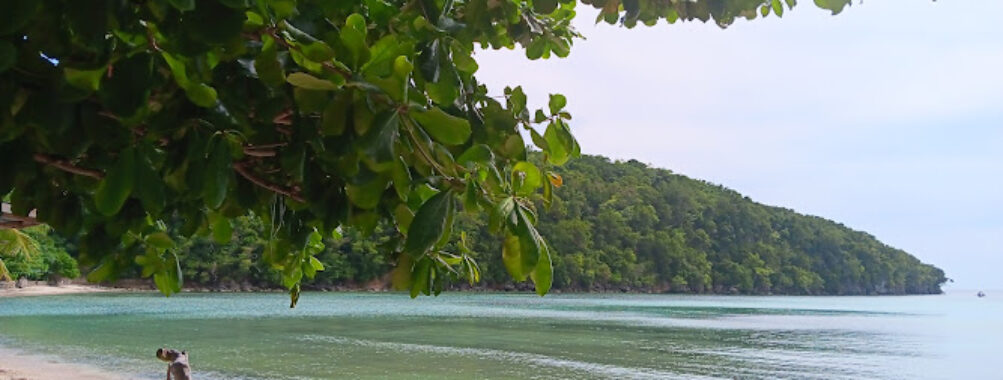 Morales Beach Resort Travel Forum Reviews