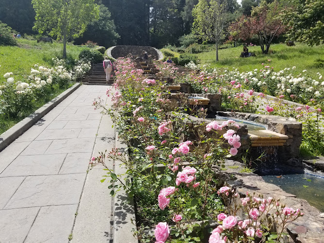 Morcom Rose Garden