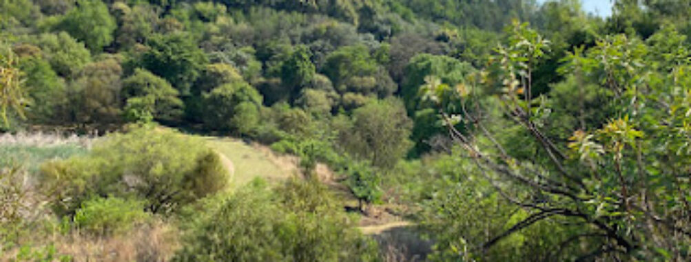 Moreleta Kloof Nature Reserve Travel Forum Reviews
