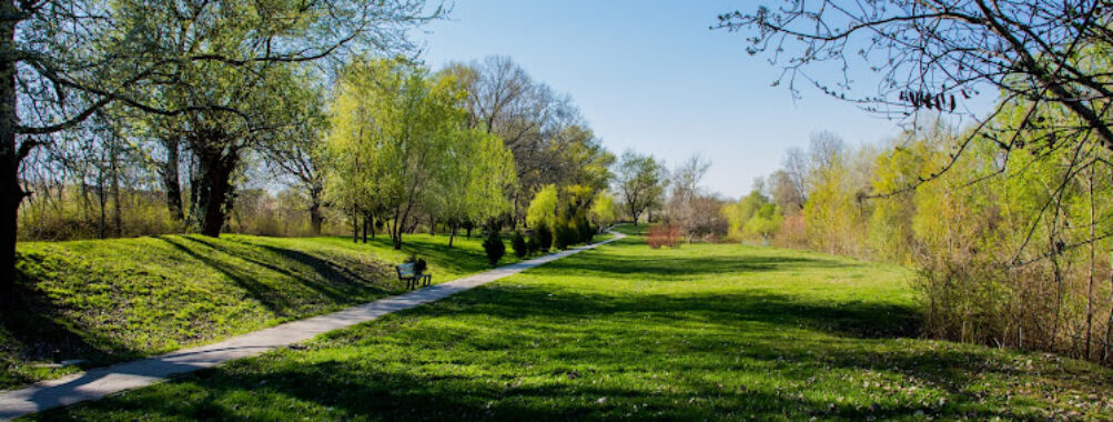 Morii Park Travel Forum Reviews