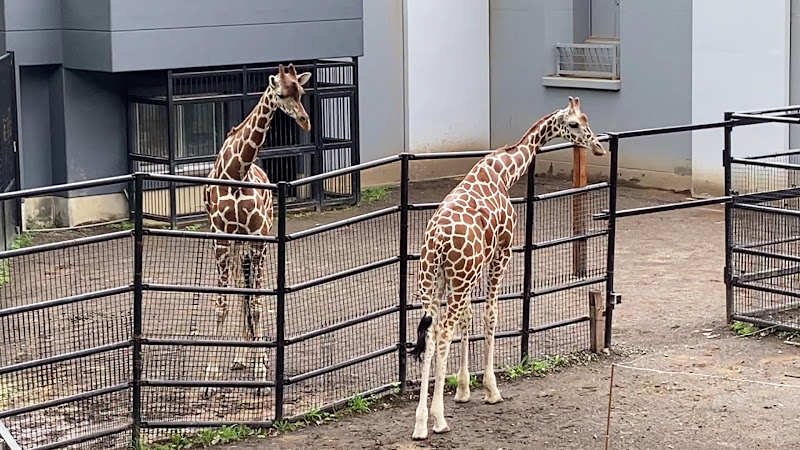 Morioka Zoological Park ZOOMO
