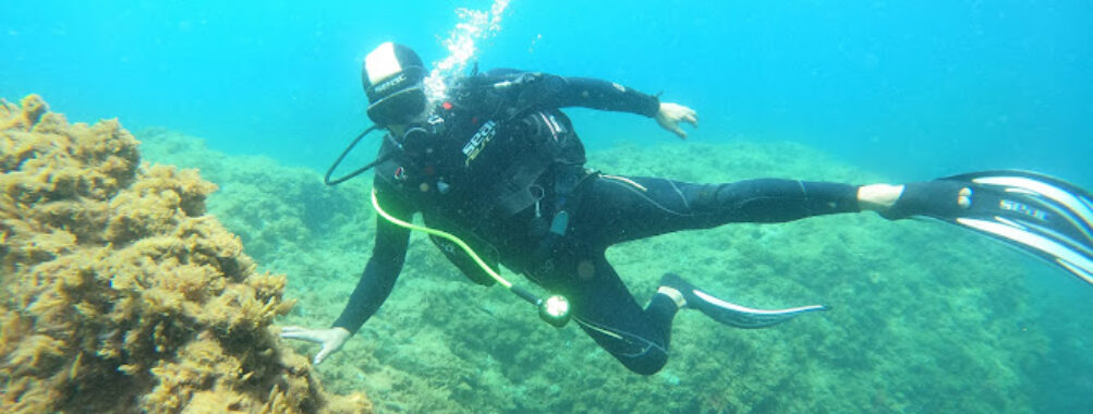 Moroccan Diving Center Travel Forum Reviews