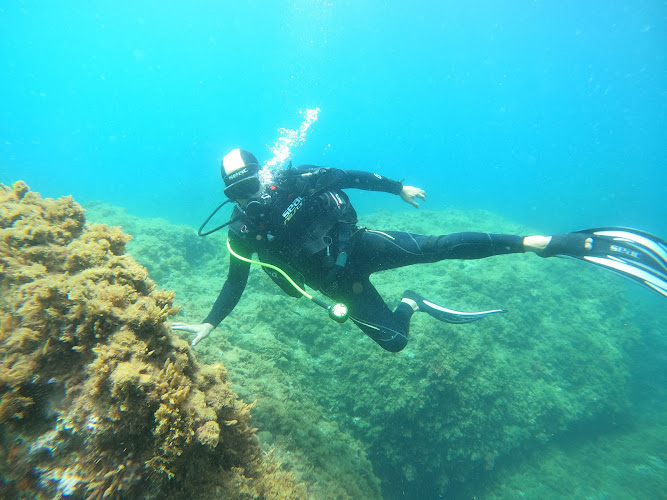 Moroccan Diving Center