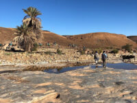 Morocco Sahara Discovery Travel Forum Reviews