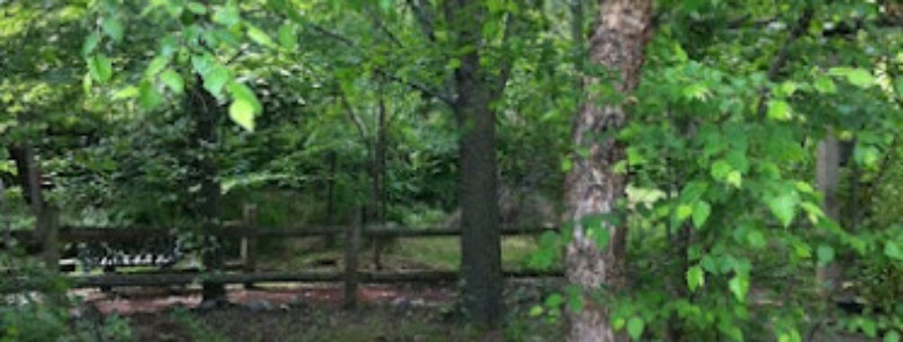 Morris Canal Park and Nature Reserve Travel Forum Reviews