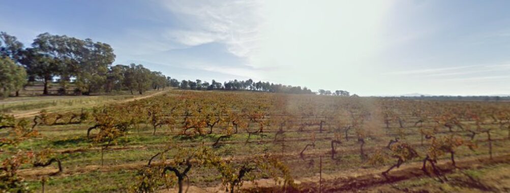 Morris Wines Travel Forum Reviews
