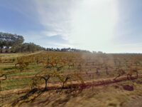 Morris Wines Travel Forum Reviews