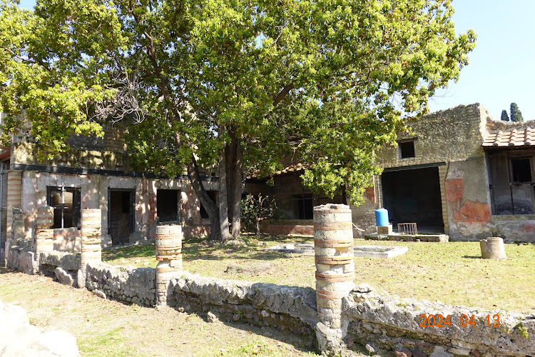 Mosaic Atrium House