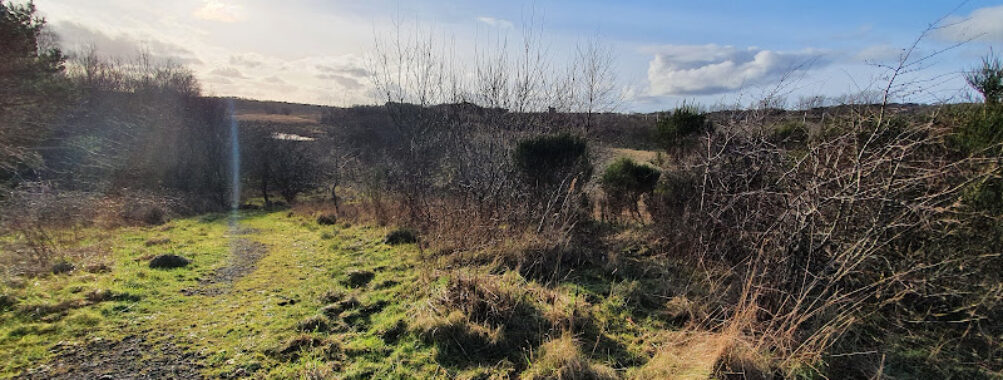 Mosswater Local Nature Reserve Travel Forum Reviews