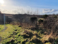 Mosswater Local Nature Reserve Travel Forum Reviews