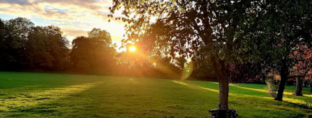 Mostyn Gardens Travel Forum Reviews
