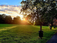 Mostyn Gardens Travel Forum Reviews