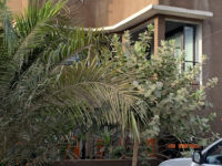 Motel Le Bassari Travel Forum Reviews