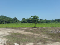 Motilla Santiago Pinotepa Nacional Travel Forum Reviews