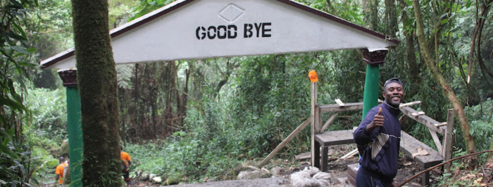 Mount Cameroon National Park Travel Forum Reviews