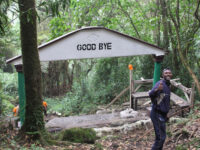 Mount Cameroon National Park Travel Forum Reviews