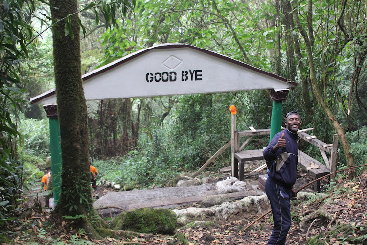 Mount Cameroon National Park