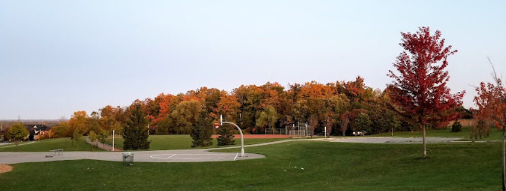Mount Joy Park Travel Forum Reviews