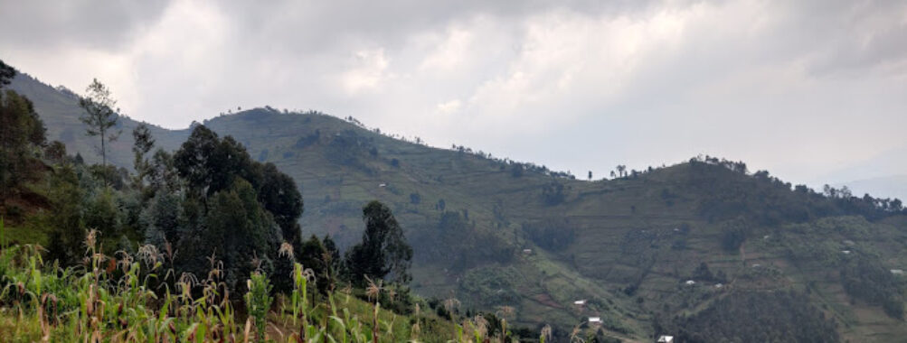 Mount Kabuye Trailhead Travel Forum Reviews