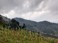 Mount Kabuye Trailhead Travel Forum Reviews