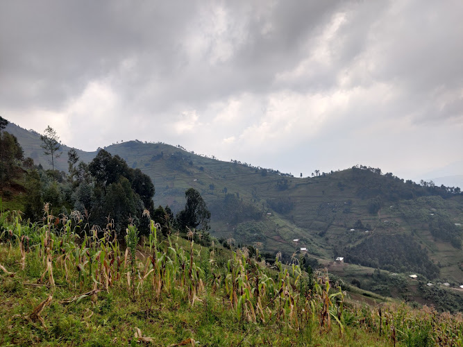 Mount Kabuye Trailhead