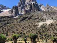 Mount Kenya National Park Travel Forum Reviews