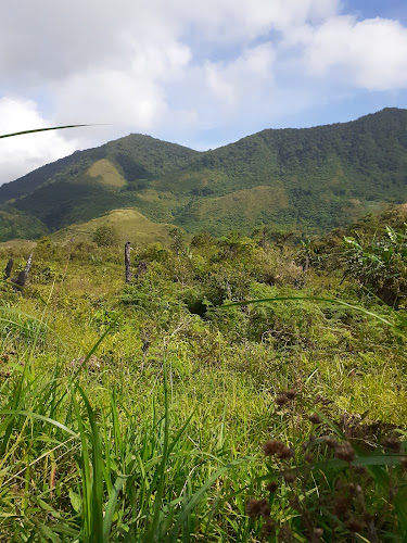 Mount Malindang