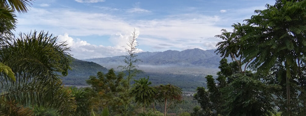 Mount Pongkay Travel Forum Reviews