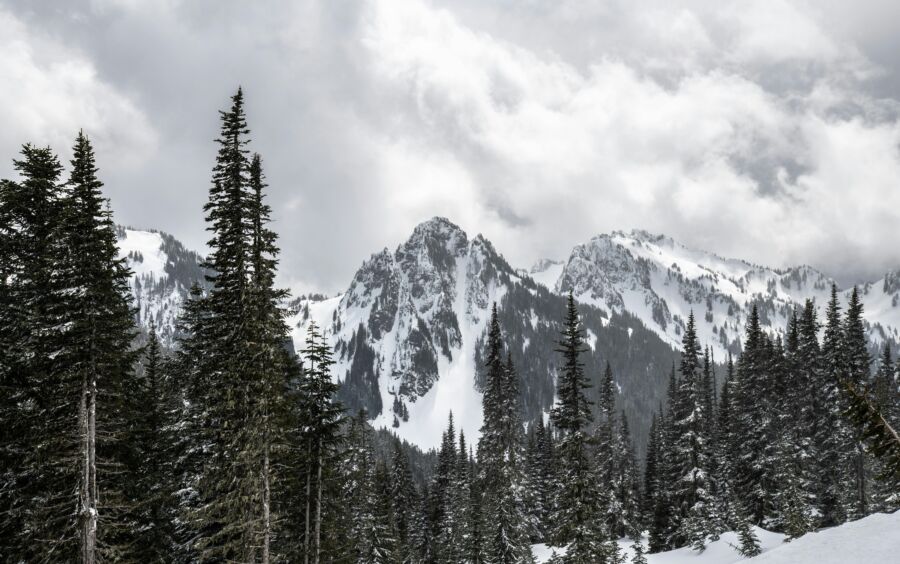 Mount Rainier National Park