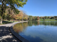 Mount Royal Park Travel Forum Reviews