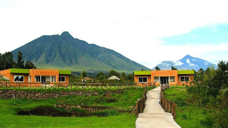 Mountain Gorilla View Lodge