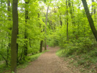 Mountain Park Travel Forum Reviews