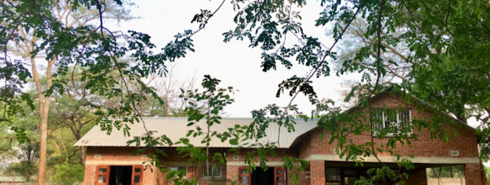 Msasa Guest House Travel Forum Reviews