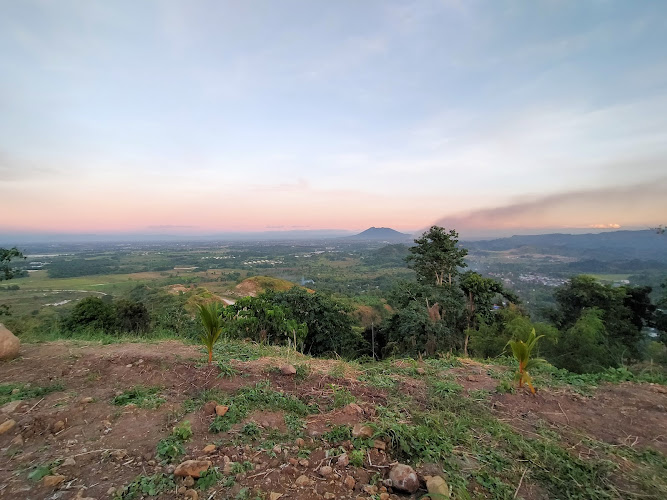 Mt Dalin