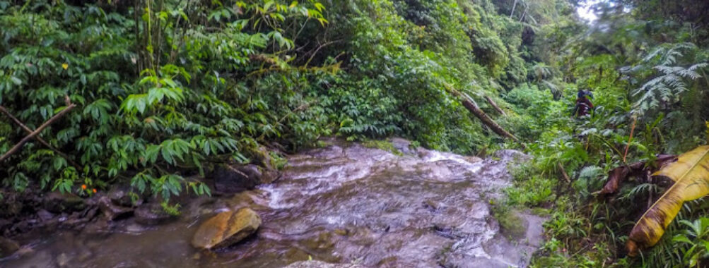Mt. Candalaga Travel Forum Reviews