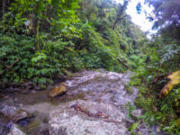 Mt. Candalaga Travel Forum Reviews