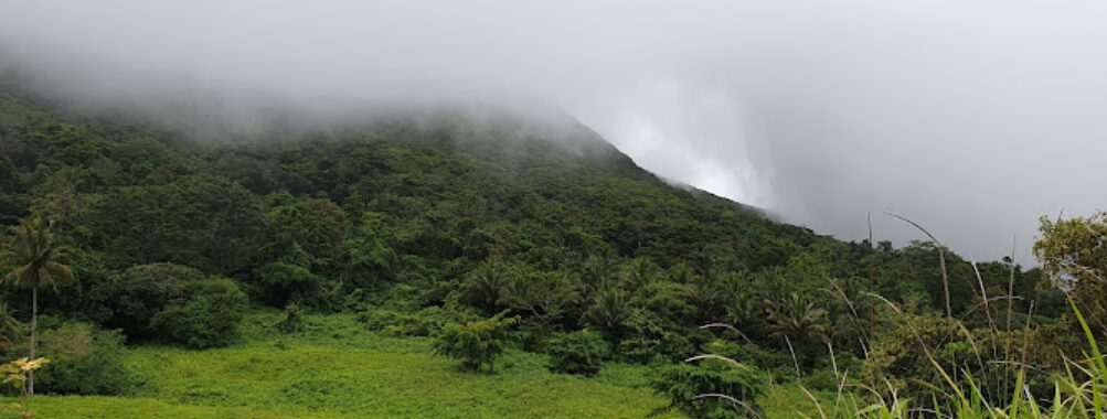Mt. Hibok-Hibok View Travel Forum Reviews