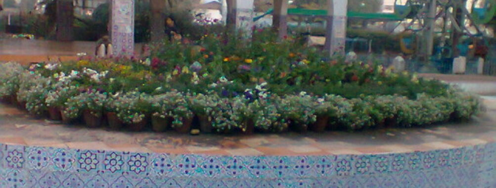 Muhammad Bin Qasim Park Travel Forum Reviews