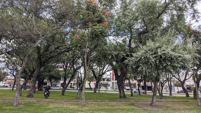 Mujer, Ibarra Park