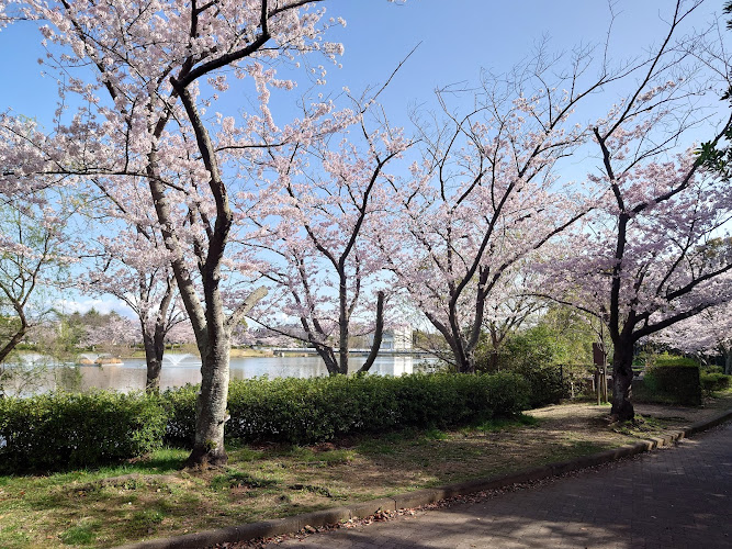 Mukaiyama Ryokuchi Park