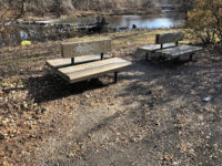 Mulberry Street Park Travel Forum Reviews