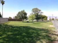 Mulligan Dog Park Travel Forum Reviews