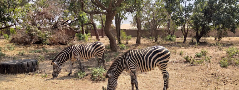 Munda Wanga Environmental Park Travel Forum Reviews