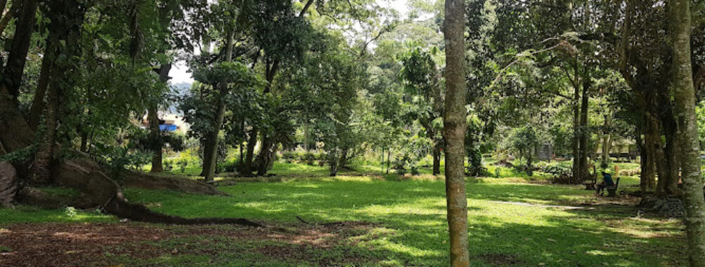 Municipal Council Botanical Garden - Badulla Travel Forum Reviews