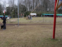 Municipal Park Villarrica Travel Forum Reviews